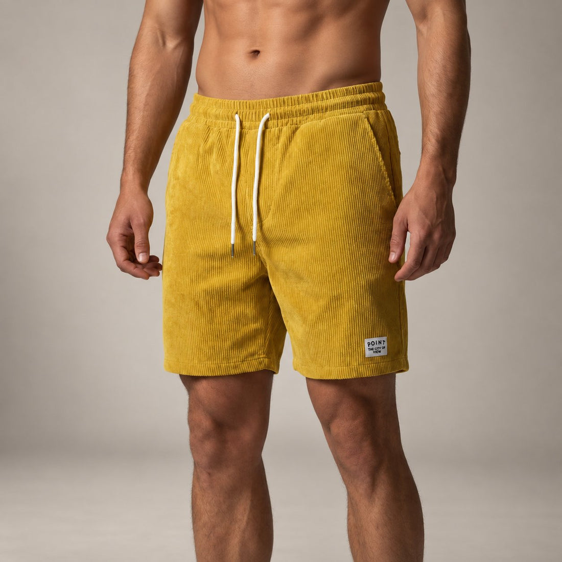 Men's Striped Swim Shorts